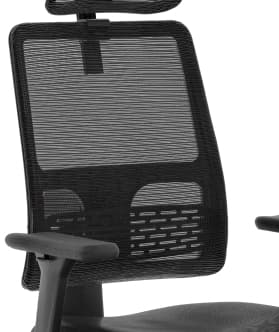 Lumbar