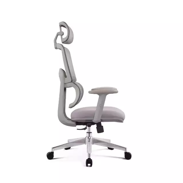 Silla Ergonómica Daily