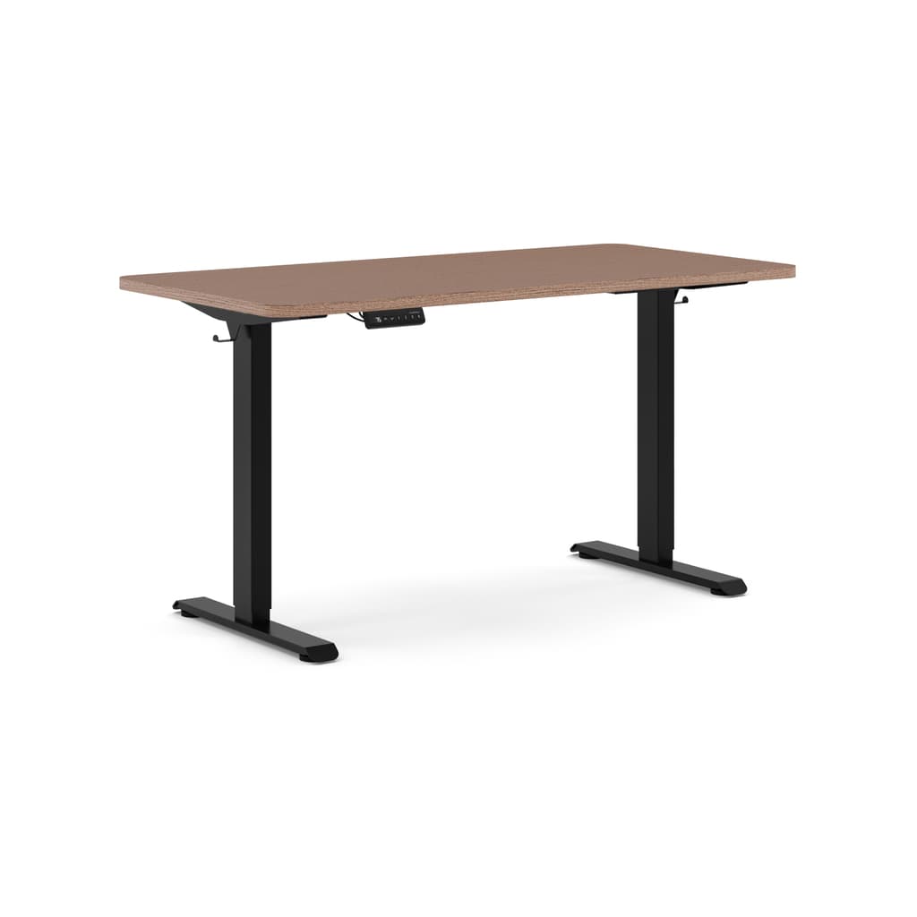 Escritorio Eléctrico Pro Duo