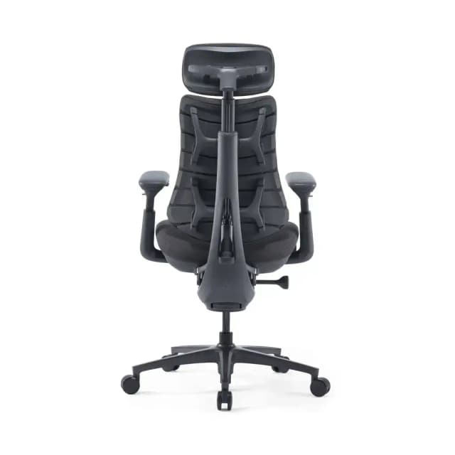 LiberNovo Omni - imagen 3
