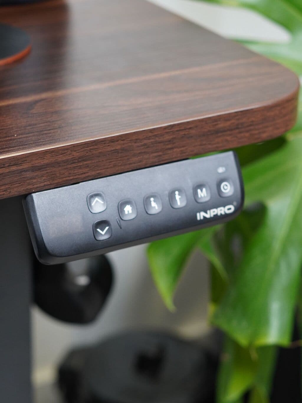 KIT SETUP PRO (Escritorio Elevable Pro 150 x 70 x 25 + Lampara Hexagon de regalo)