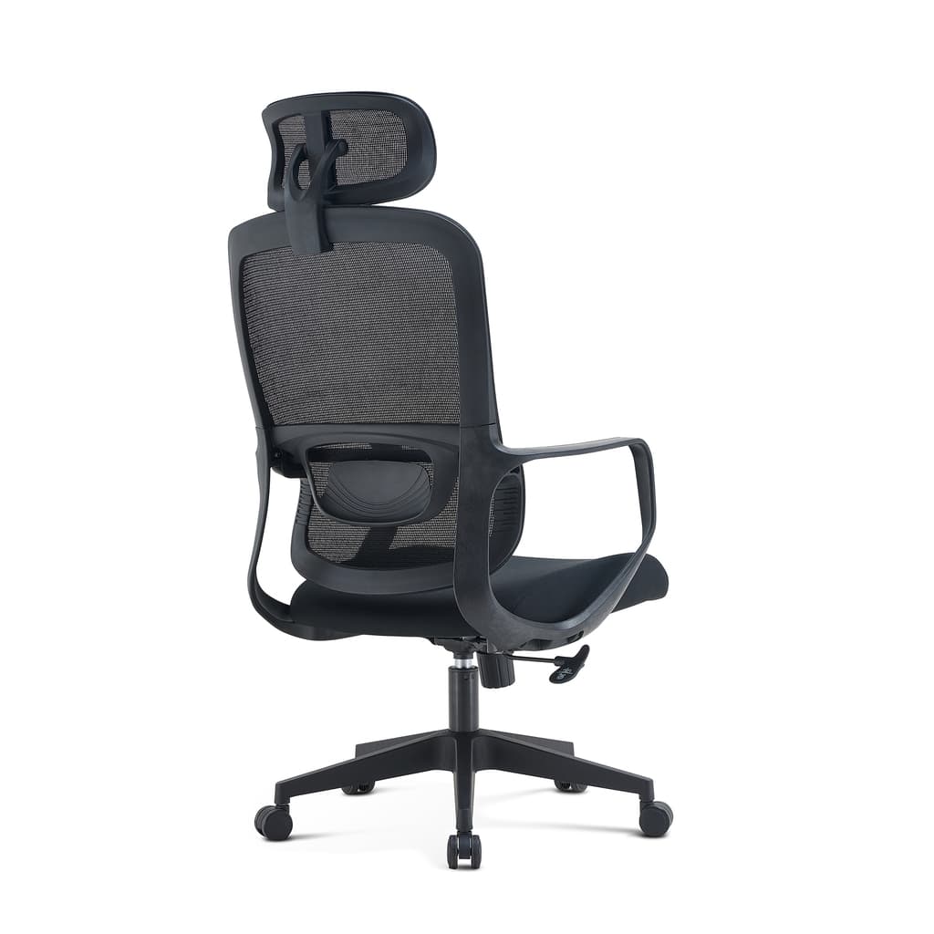 Silla Ergonómica Neonix Essential